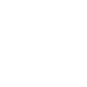 NIC approved Contractor Logo_White_300x300